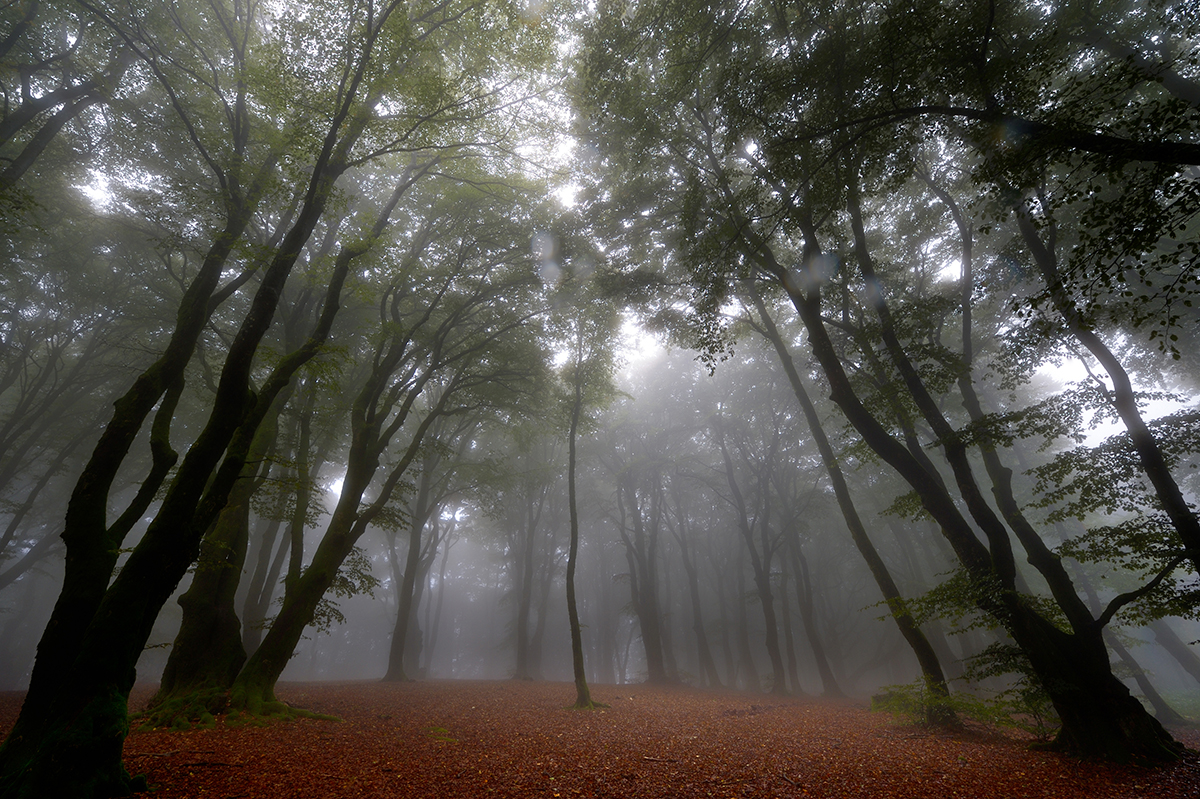 RENOIR BAGET Station météo