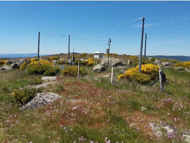 RENOIR BAGET Station météo